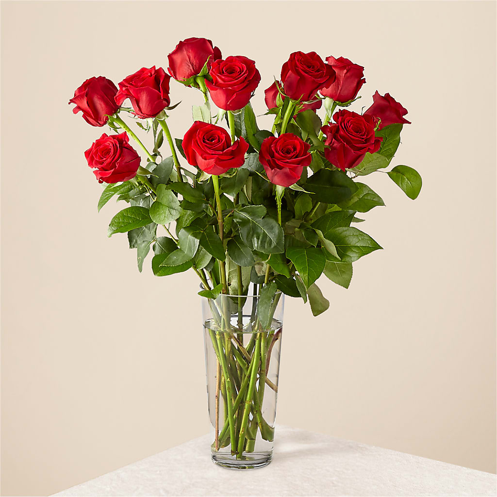 Long Stem Red Rose Bouquet – Distinctive Design Studio Llc, Ham Lake MN