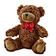 Adorable Plush Bear – Distinctive Design Studio Llc, Ham Lake MN