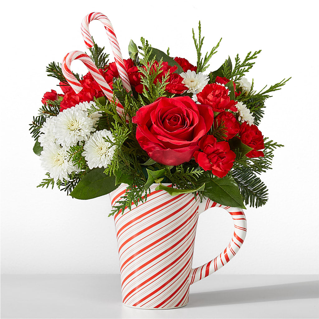 Peppermint Swirl Mug – Distinctive Design Studio Llc, Ham Lake MN