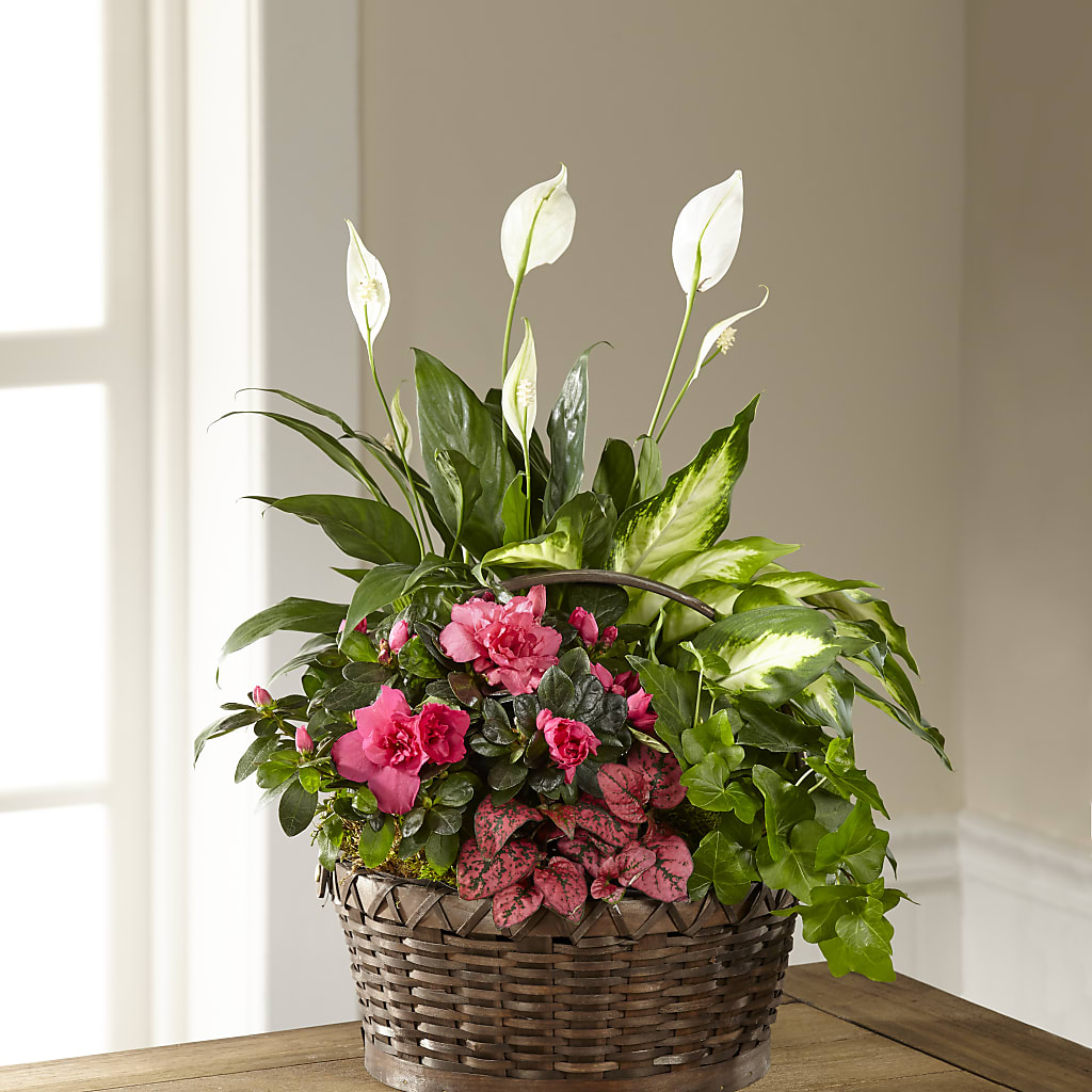 Dream in Pink Dishgarden – Distinctive Design Studio Llc, Ham Lake MN