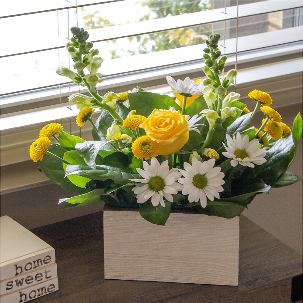 Sun Salutation Box Bouquet – Distinctive Design Studio Llc, Ham Lake MN