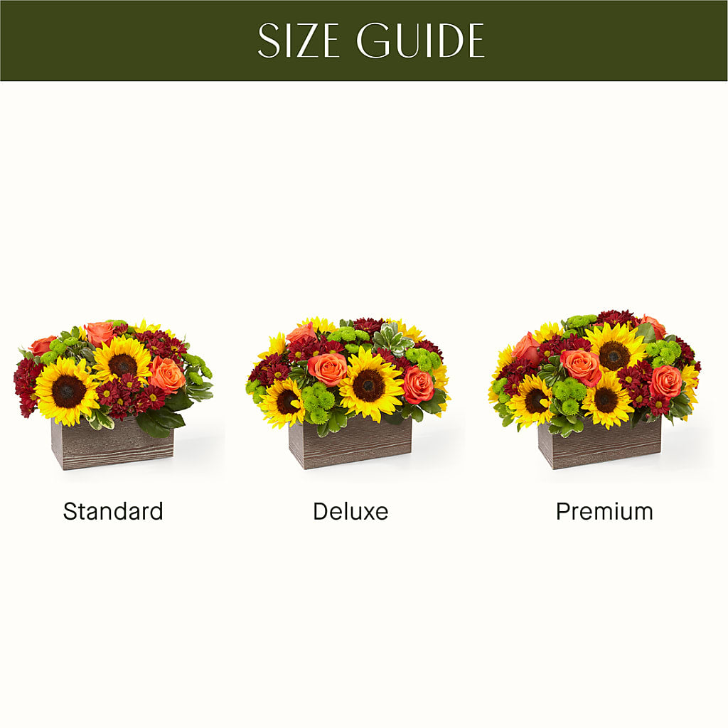 Happy Harvest Garden – Distinctive Design Studio Llc, Ham Lake MN