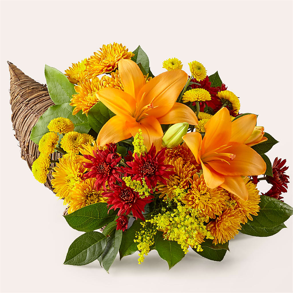 Feast of Color Cornucopia – Distinctive Design Studio Llc, Ham Lake MN