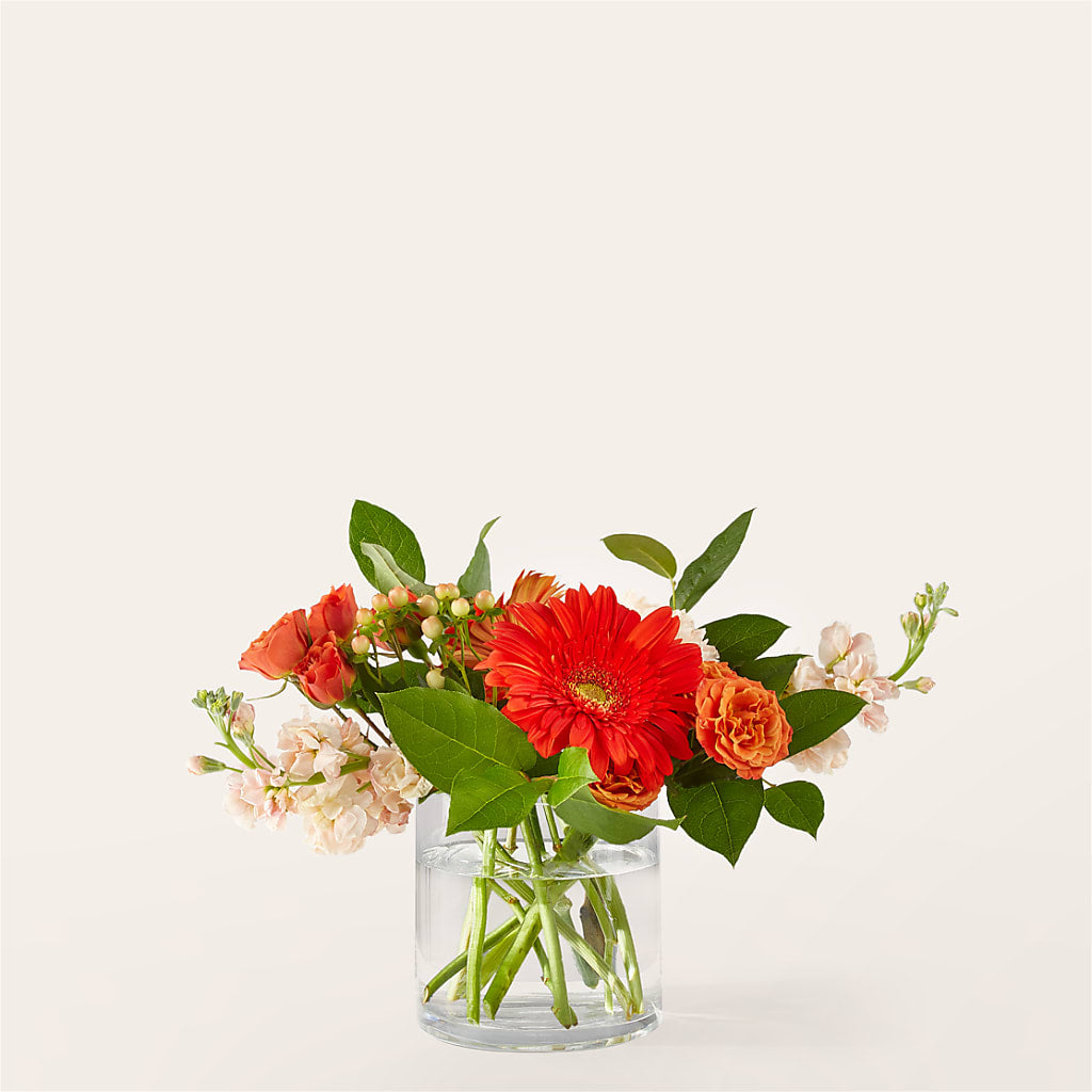Paloma Please Bouquet – Distinctive Design Studio Llc, Ham Lake MN