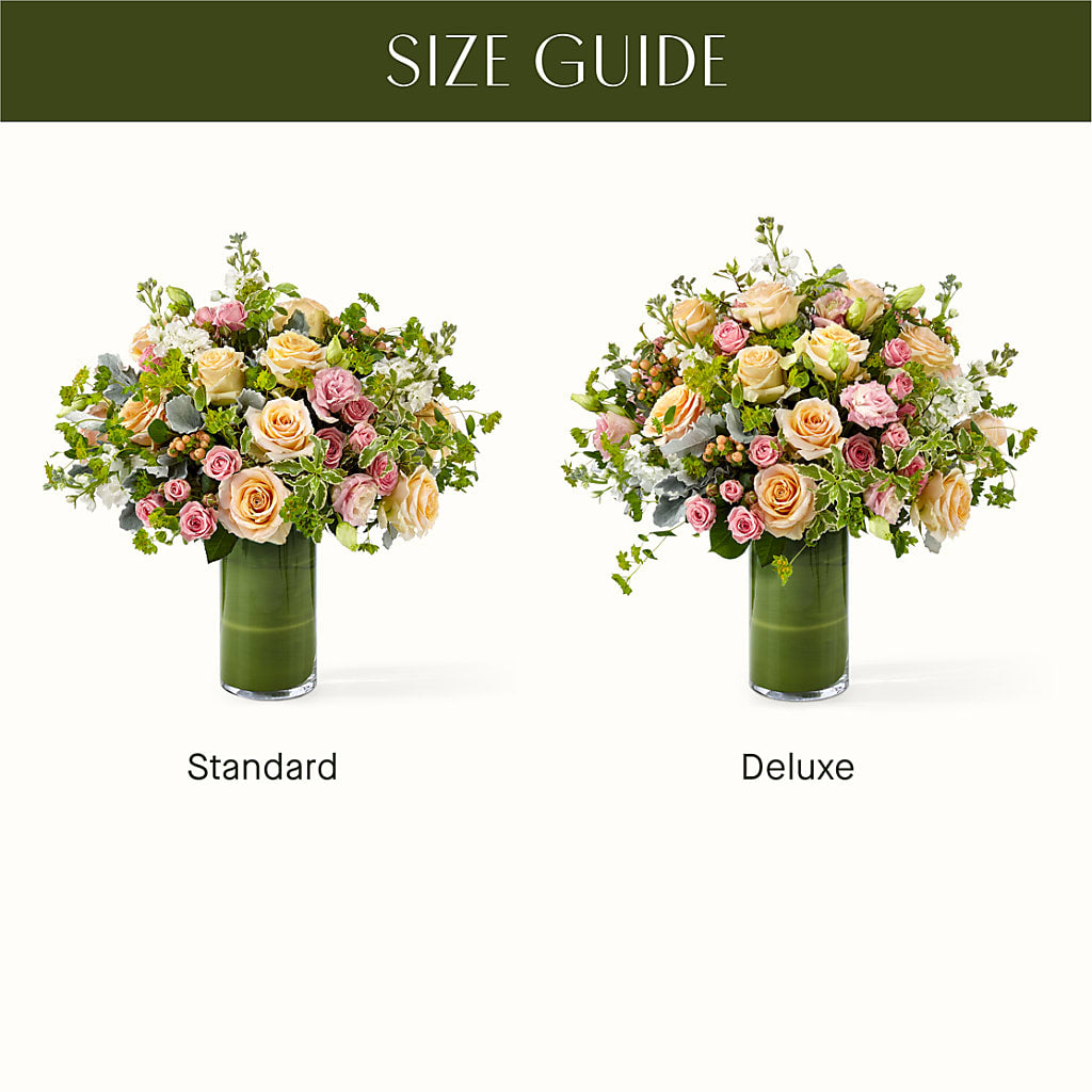 The Glamour Shot – Distinctive Design Studio Llc, Ham Lake MN