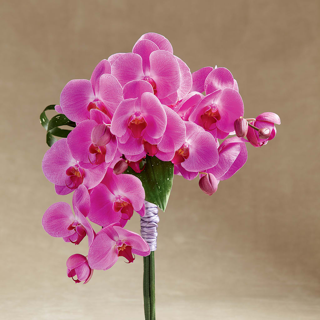 Glorious Bouquet – Distinctive Design Studio Llc, Ham Lake MN