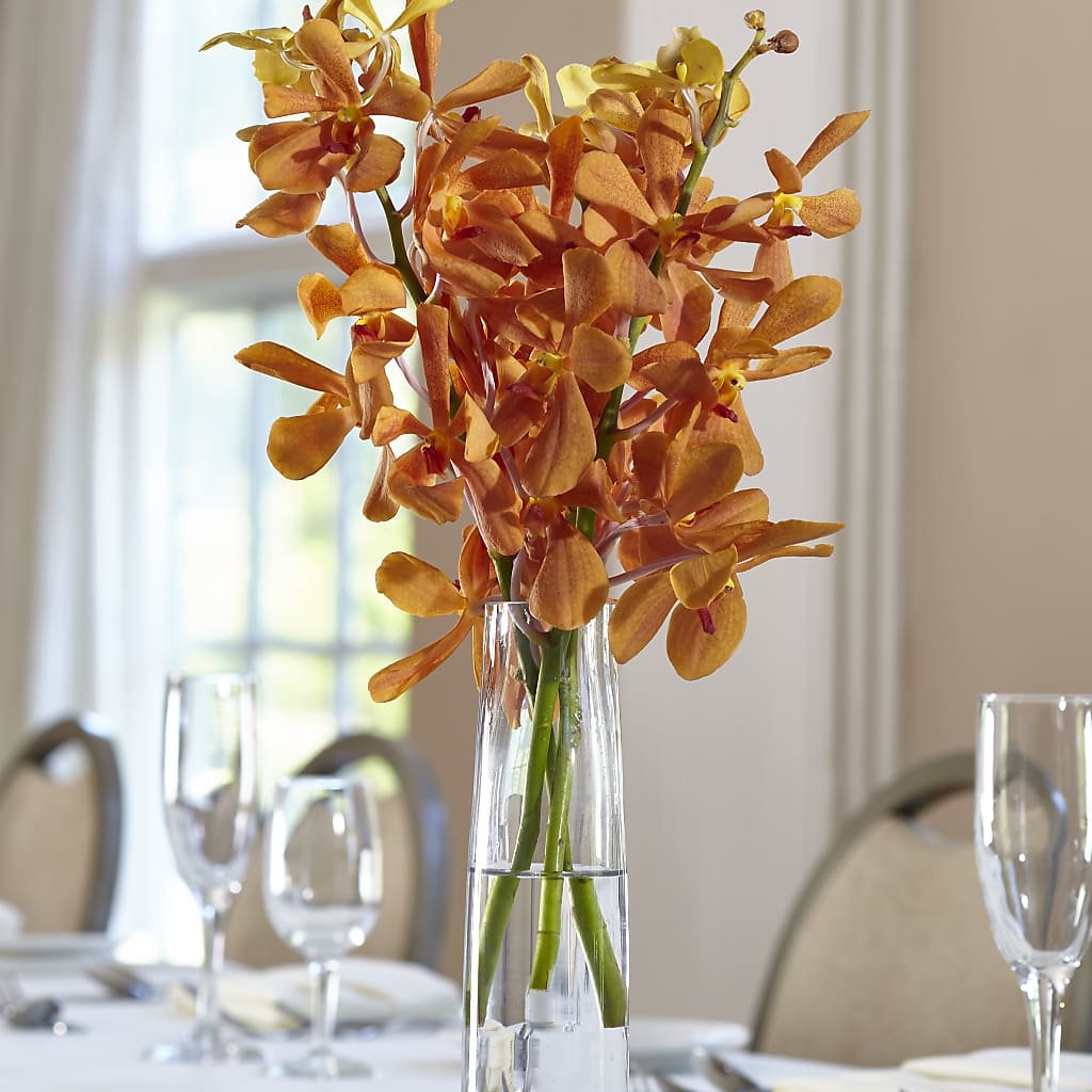 Orange Mokara Bud Vase – Distinctive Design Studio Llc, Ham Lake MN