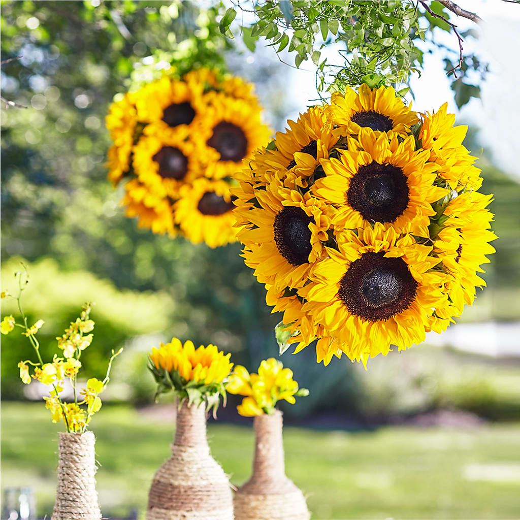Sublime Garden Hanging Arrangement – Distinctive Design Studio Llc, Ham Lake MN