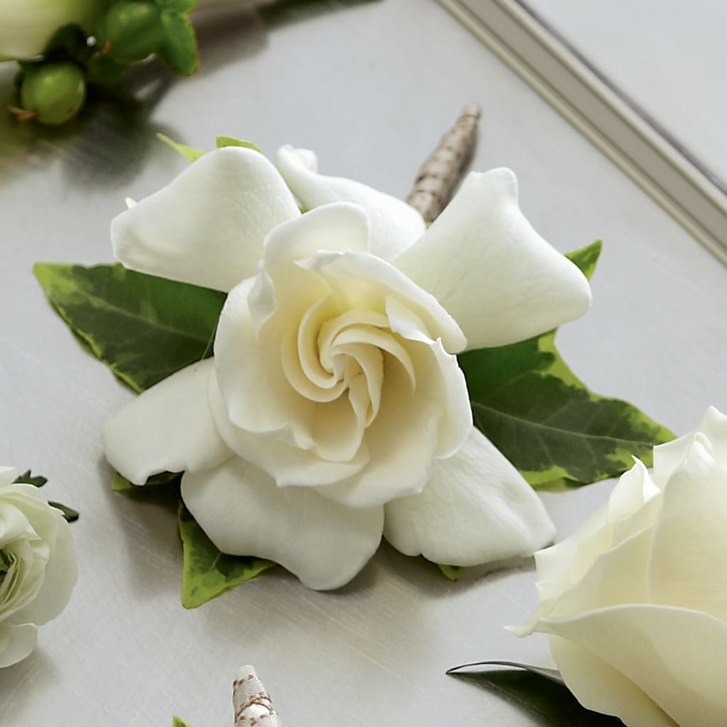 Gardenia Boutonniere – Distinctive Design Studio Llc, Ham Lake MN