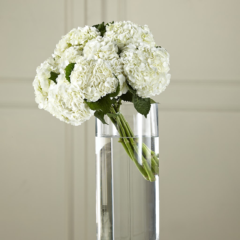 White Hydrangea Hand-Tied Bouquet – Distinctive Design Studio Llc, Ham Lake MN