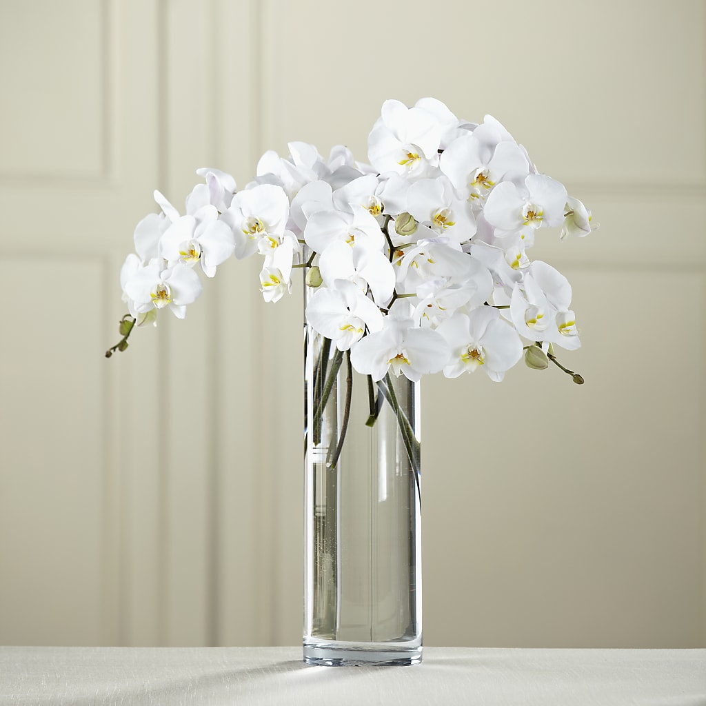 White Phalaenopsis Bouquet – Distinctive Design Studio Llc, Ham Lake MN