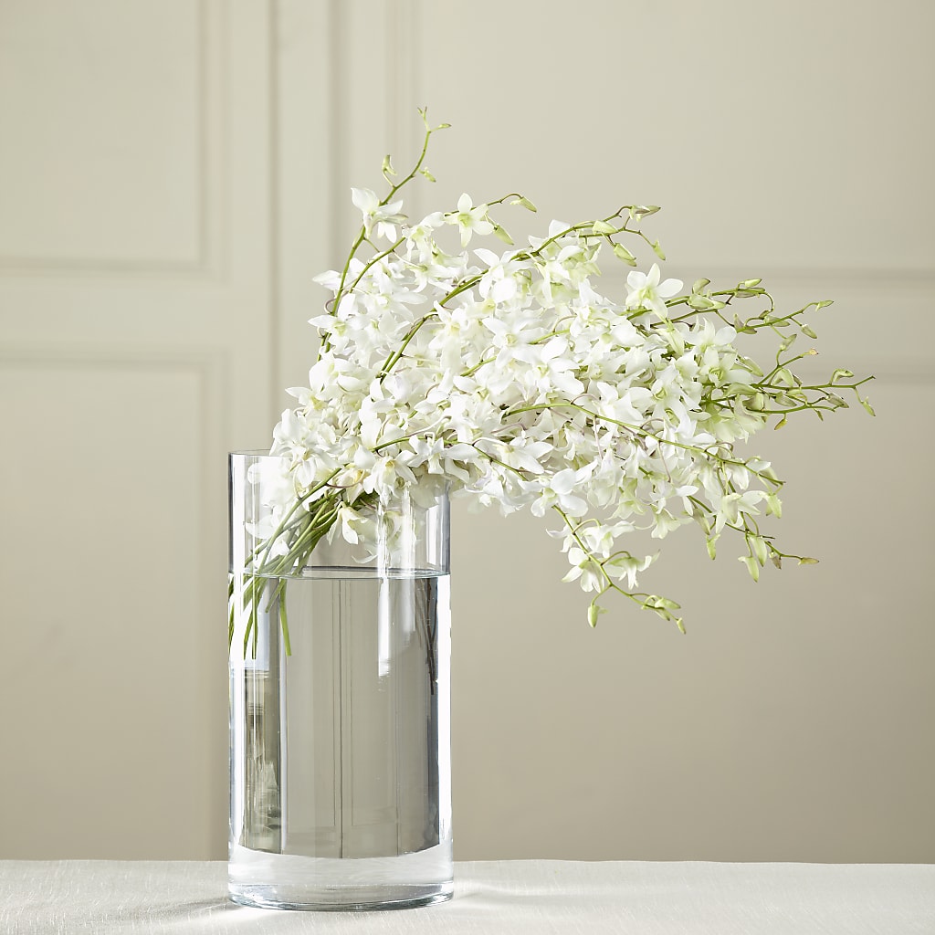 White Dendrobium Bouquet – Distinctive Design Studio Llc, Ham Lake MN