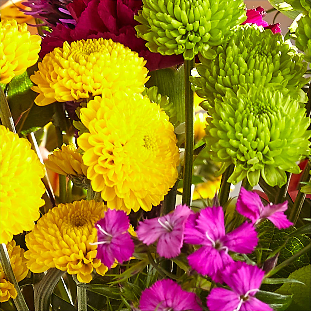Bold & Bright – A Florist Original –  Distinctive Design Studio Llc, Ham Lake MN
