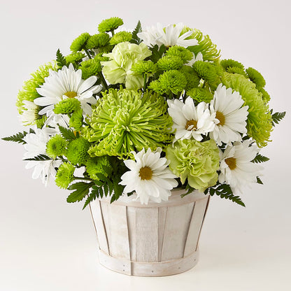 Lucky Charm Basket (Standard) –  Distinctive Design Studio Llc, Ham Lake MN