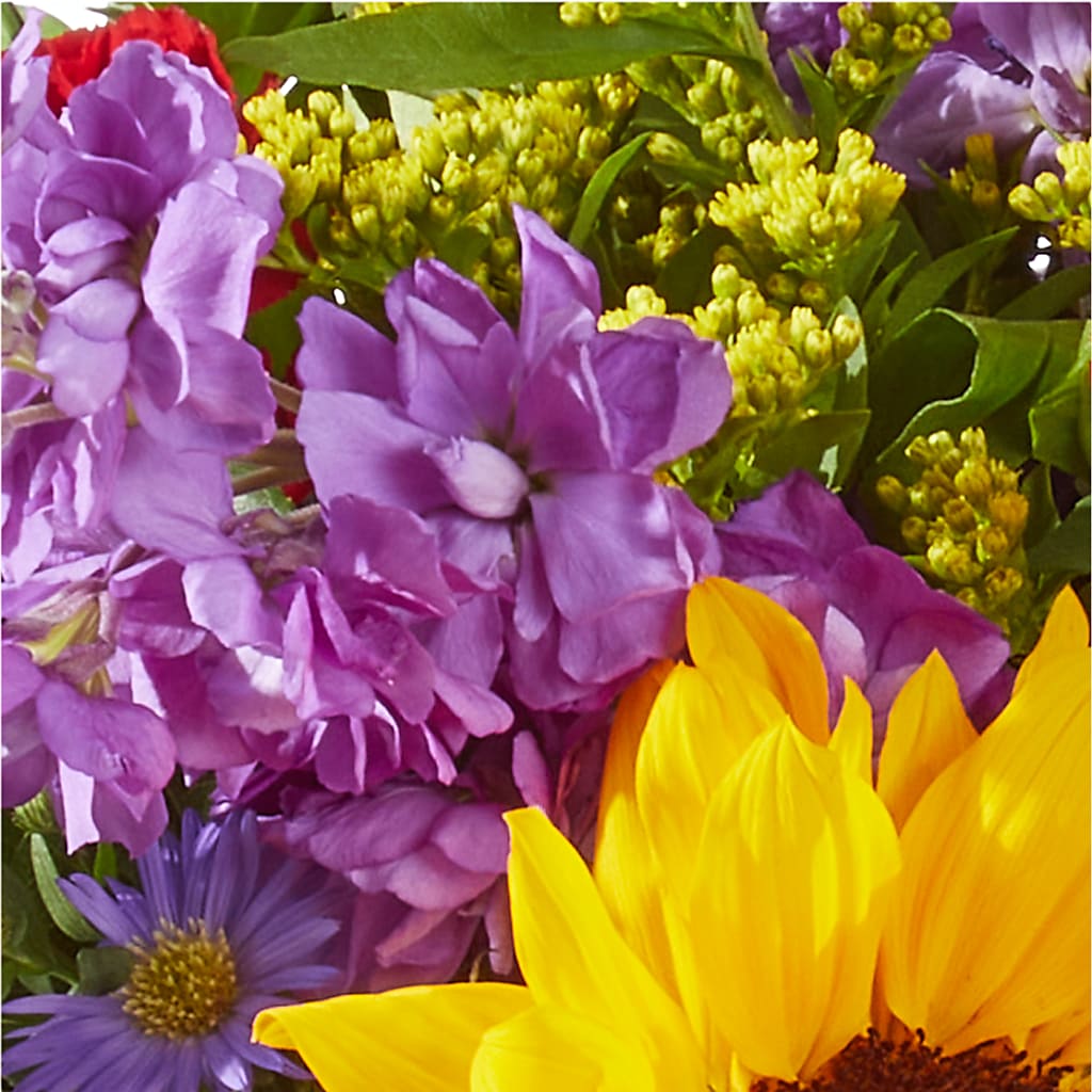 Celebrating You Bouquet –  Distinctive Design Studio Llc, Ham Lake MN