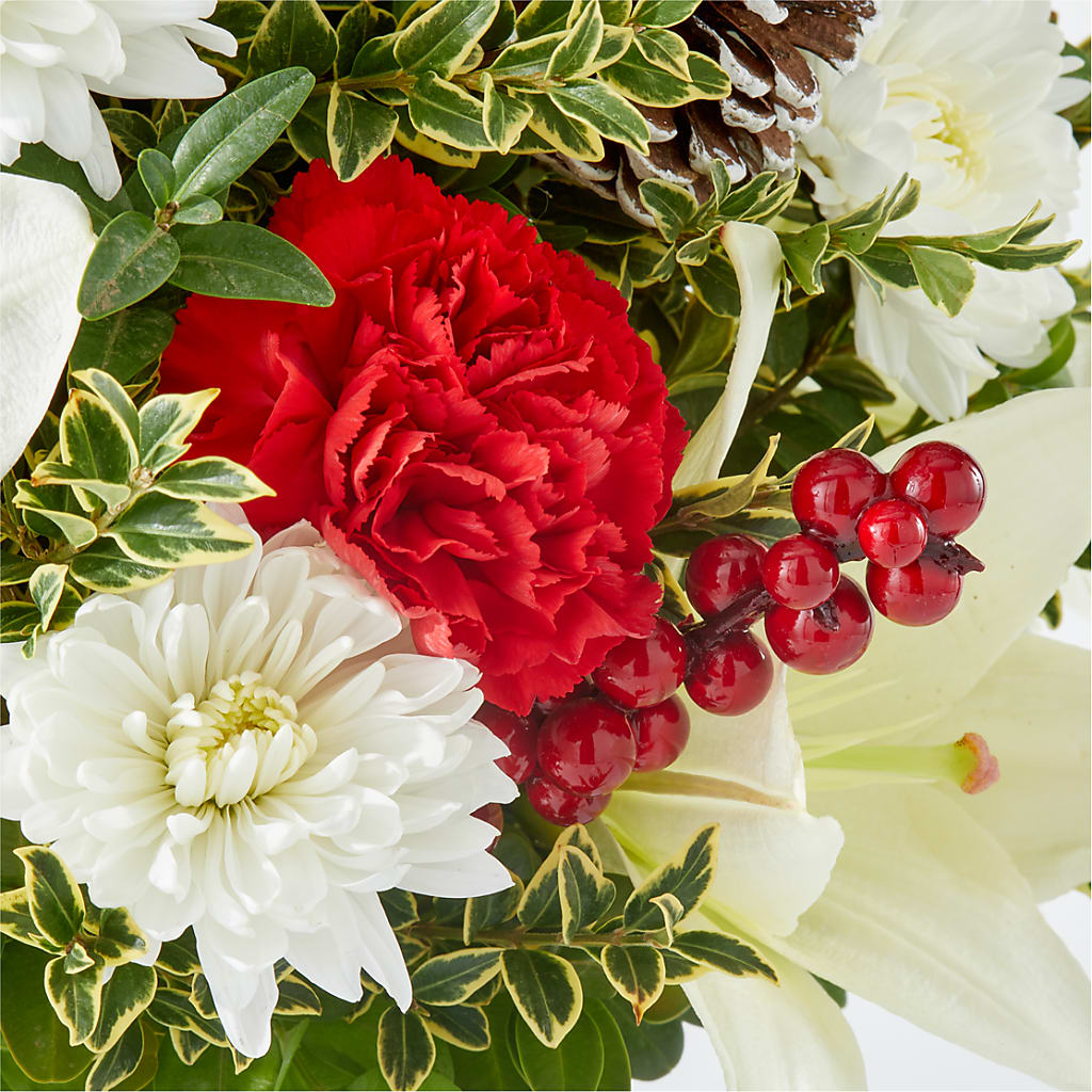 Festive Moments Tree –  Distinctive Design Studio Llc, Ham Lake MN