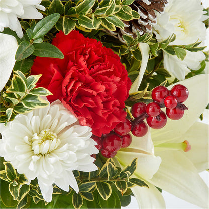 Festive Moments Tree –  Distinctive Design Studio Llc, Ham Lake MN