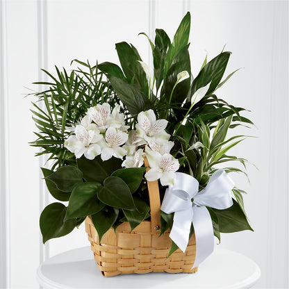 Peace & Serenity Dishgarden –  Distinctive Design Studio Llc, Ham Lake MN