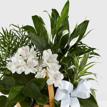 Peace & Serenity Dishgarden –  Distinctive Design Studio Llc, Ham Lake MN