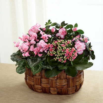 Pink Assortment –  Distinctive Design Studio Llc, Ham Lake MN