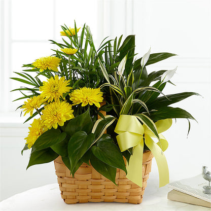Loving Light Dishgarden –  Distinctive Design Studio Llc, Ham Lake MN