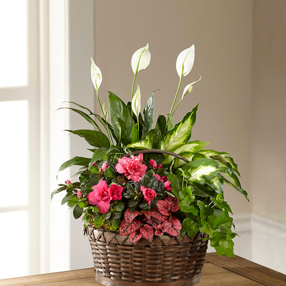 Dream in Pink Dishgarden –  Distinctive Design Studio Llc, Ham Lake MN