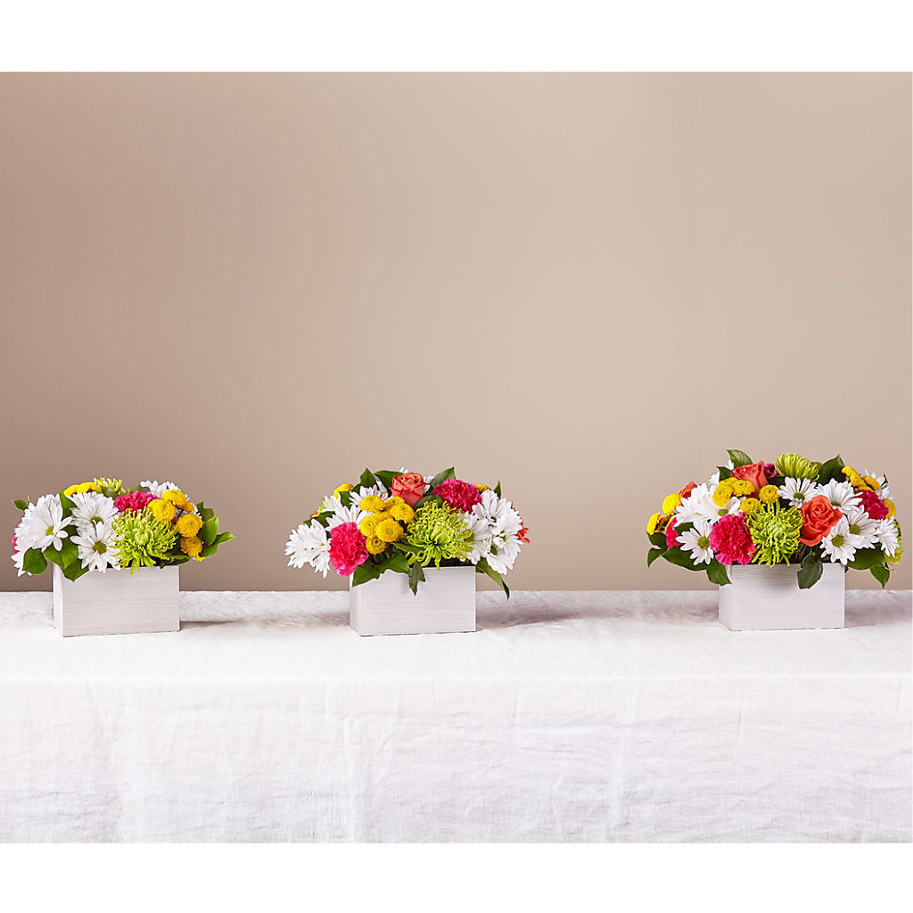 Sorbet Bouquet –  Distinctive Design Studio Llc, Ham Lake MN