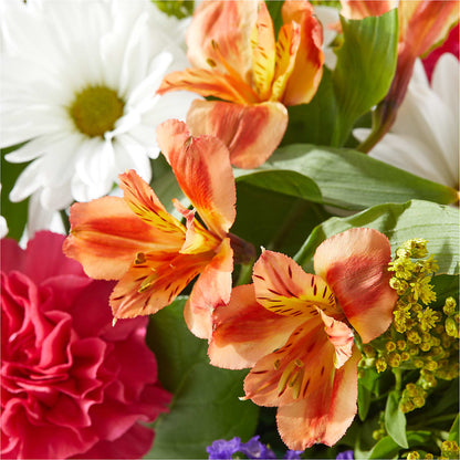 Oopsie Daisy Box Bouquet –  Distinctive Design Studio Llc, Ham Lake MN