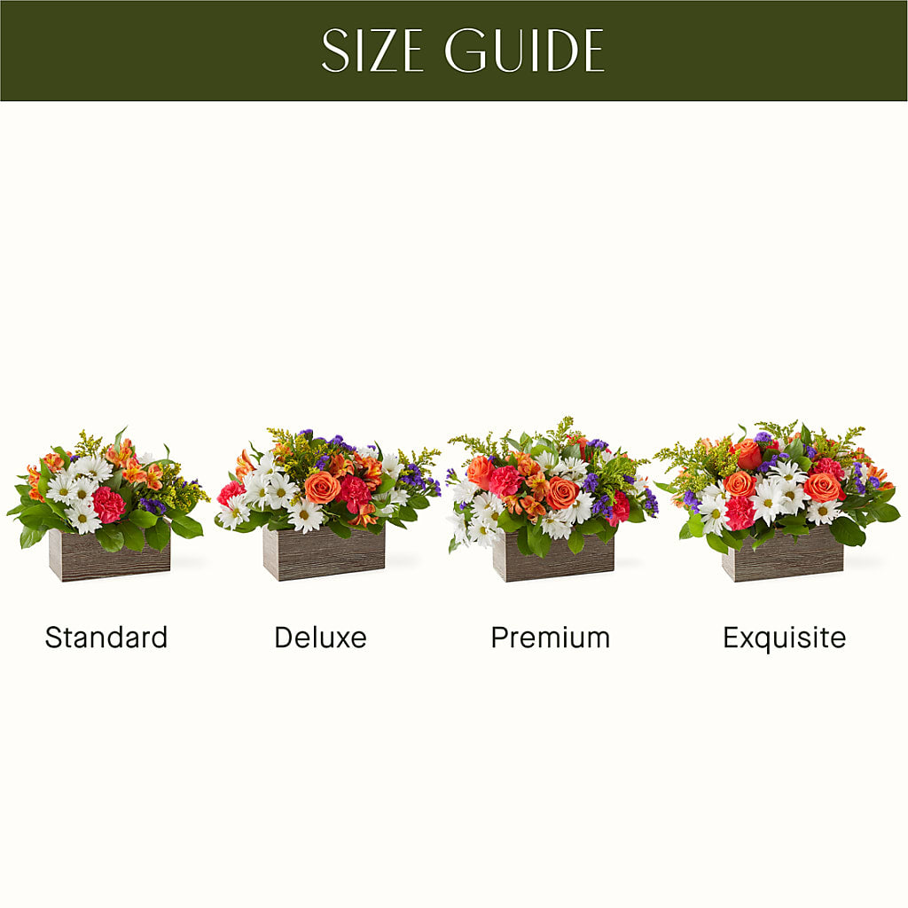 Oopsie Daisy Box Bouquet –  Distinctive Design Studio Llc, Ham Lake MN
