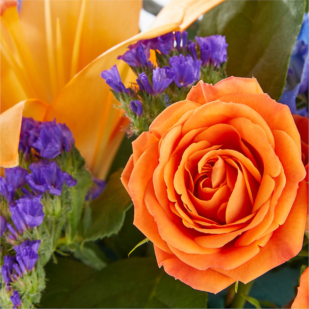 Radiant Citrus Box Bouquet –  Distinctive Design Studio Llc, Ham Lake MN