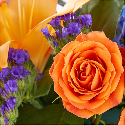 Radiant Citrus Box Bouquet –  Distinctive Design Studio Llc, Ham Lake MN