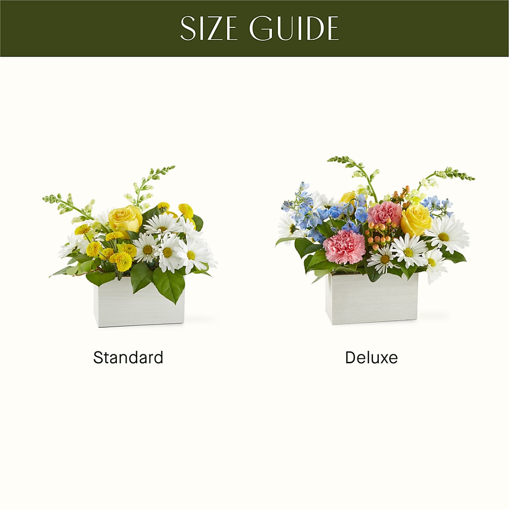 Sun Salutation Box Bouquet –  Distinctive Design Studio Llc, Ham Lake MN