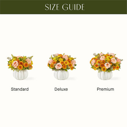 Peachy Pumpkin –  Distinctive Design Studio Llc, Ham Lake MN