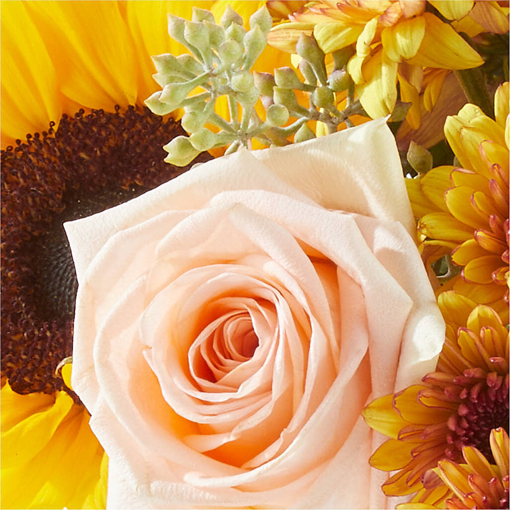 Pumpkin to Talk About Bouquet –  Distinctive Design Studio Llc, Ham Lake MN