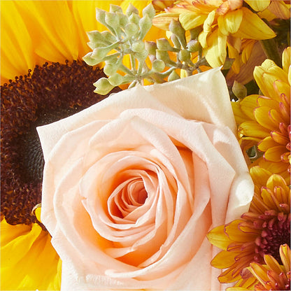 Pumpkin to Talk About Bouquet –  Distinctive Design Studio Llc, Ham Lake MN
