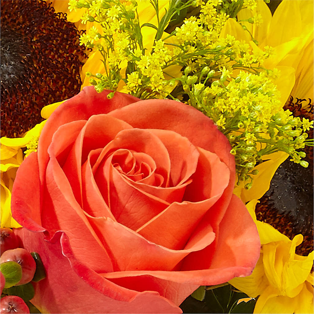 Pick of the Patch Pumpkin Bouquet –  Distinctive Design Studio Llc, Ham Lake MN