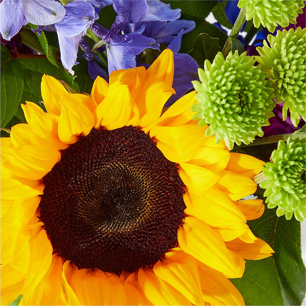 Catching Rays Bouquet –  Distinctive Design Studio Llc, Ham Lake MN
