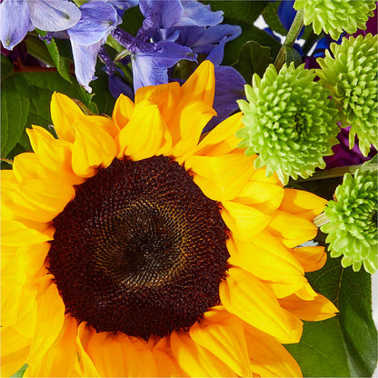 Catching Rays Bouquet –  Distinctive Design Studio Llc, Ham Lake MN