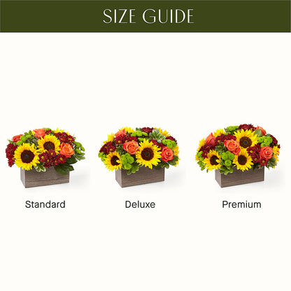 Happy Harvest Garden –  Distinctive Design Studio Llc, Ham Lake MN
