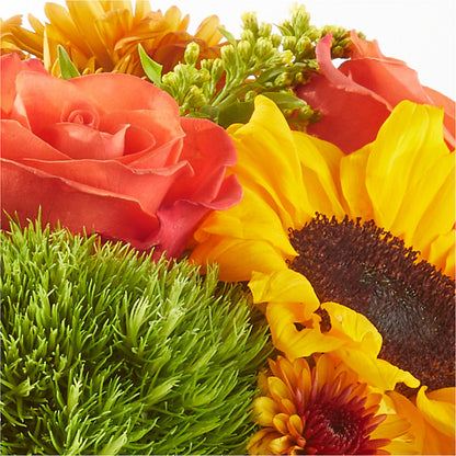 Farmer’s Market Stroll Bouquet –  Distinctive Design Studio Llc, Ham Lake MN