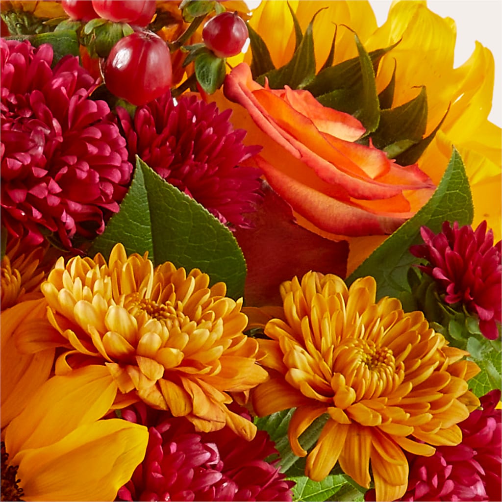 Sweater Season - A Florist Original –  Distinctive Design Studio Llc, Ham Lake MN