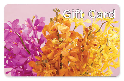 Gift Card –  Distinctive Design Studio Llc, Ham Lake MN