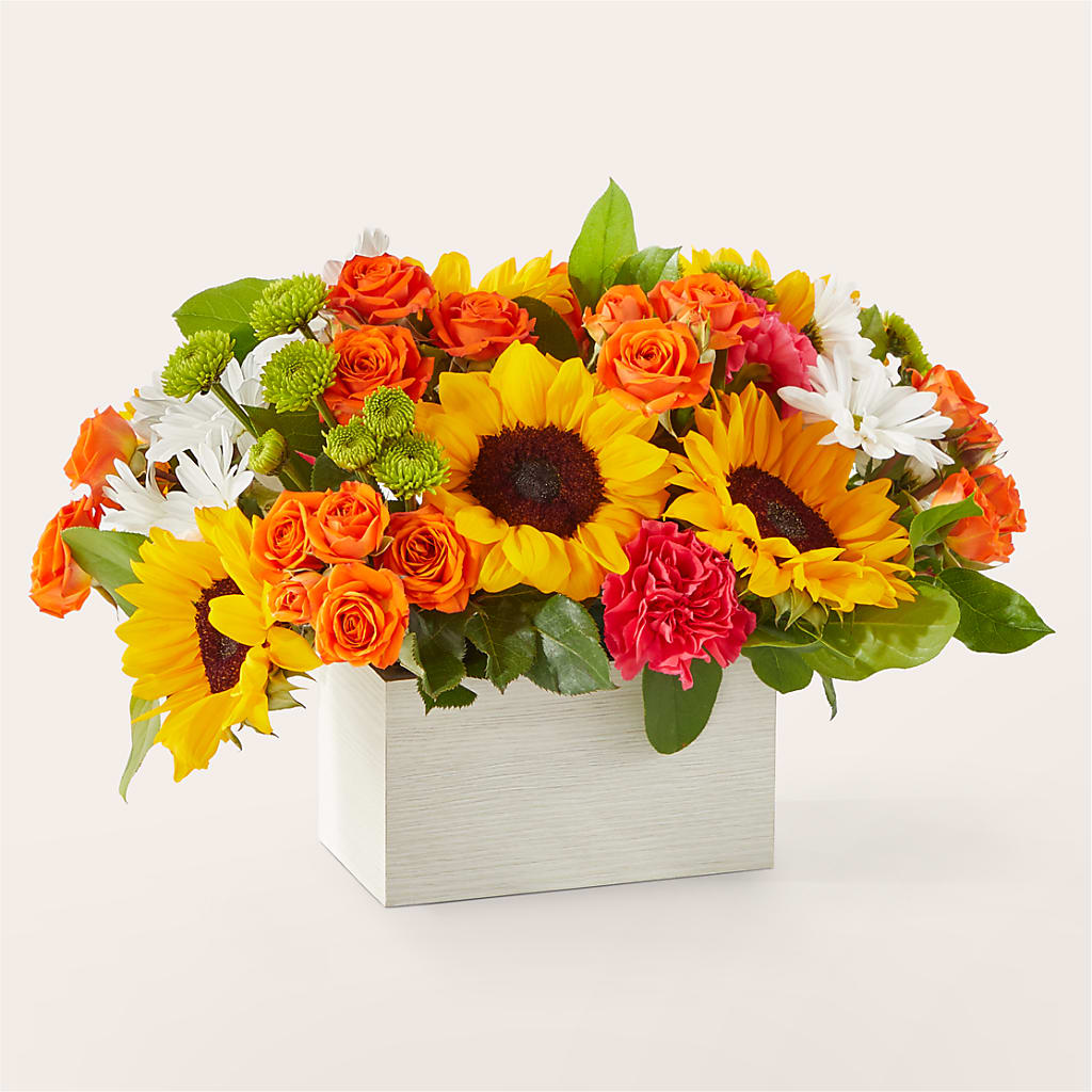 Sun-drenched Blooms Box Bouquet –  Distinctive Design Studio Llc, Ham Lake MN