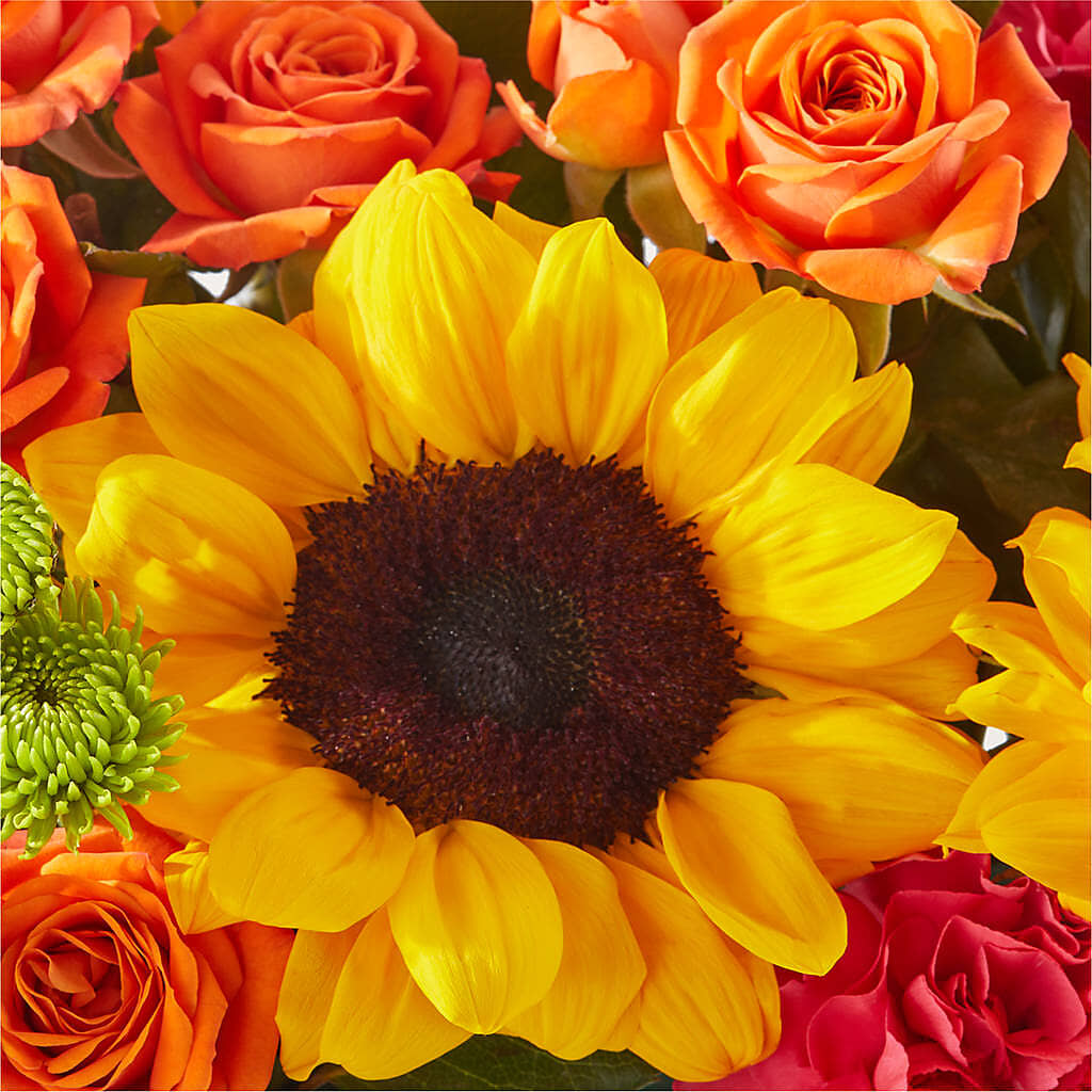 Sun-drenched Blooms Box Bouquet –  Distinctive Design Studio Llc, Ham Lake MN