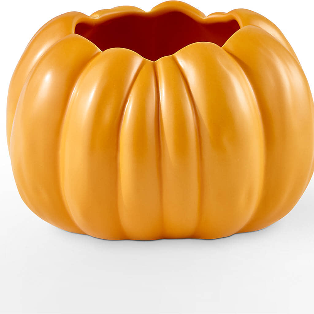Golden Gourd Pumpkin Bouquet –  Distinctive Design Studio Llc, Ham Lake MN