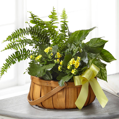 Always Dear Dishgarden –  Distinctive Design Studio Llc, Ham Lake MN
