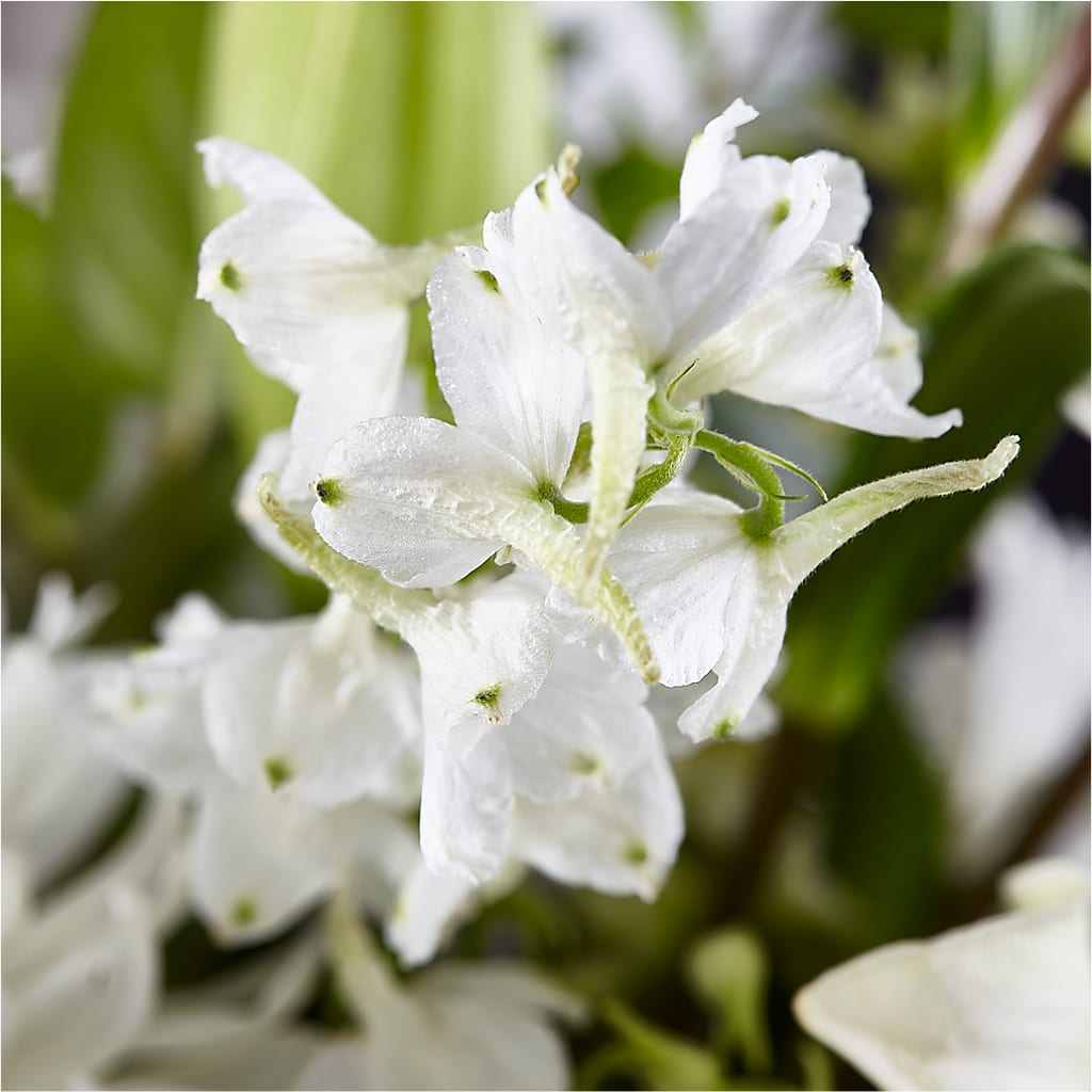 Classic Ivory – A Florist Original –  Distinctive Design Studio Llc, Ham Lake MN