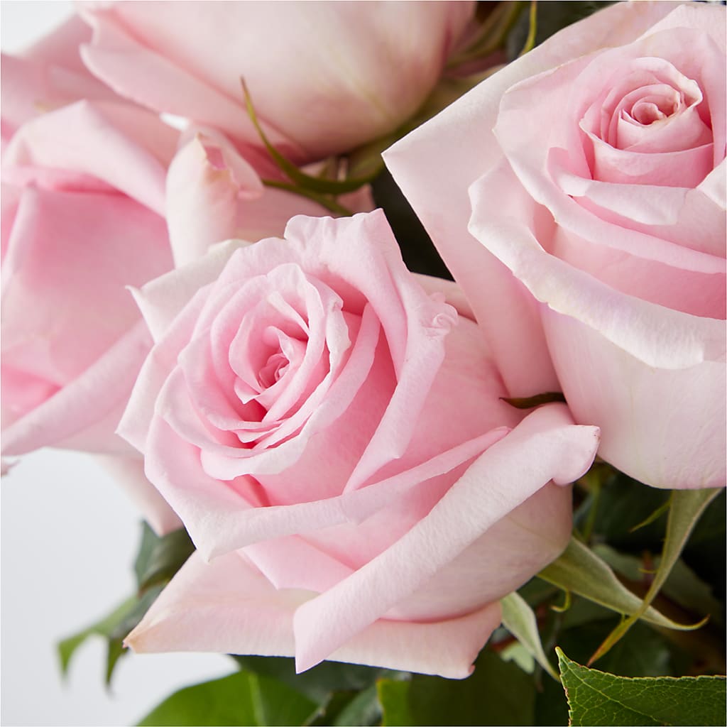 Picture Perfect Pink Rose Bouquet –  Distinctive Design Studio Llc, Ham Lake MN