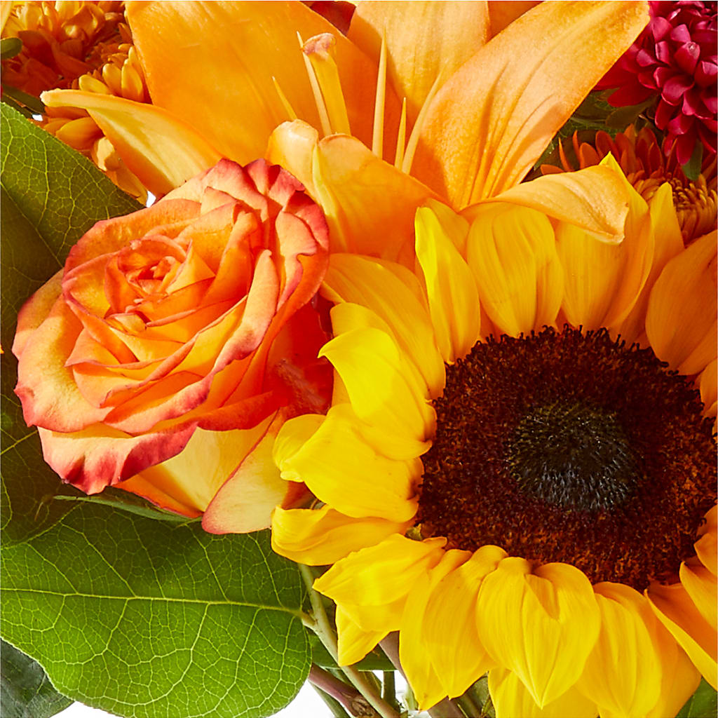 Fall Day Bouquet –  Distinctive Design Studio Llc, Ham Lake MN