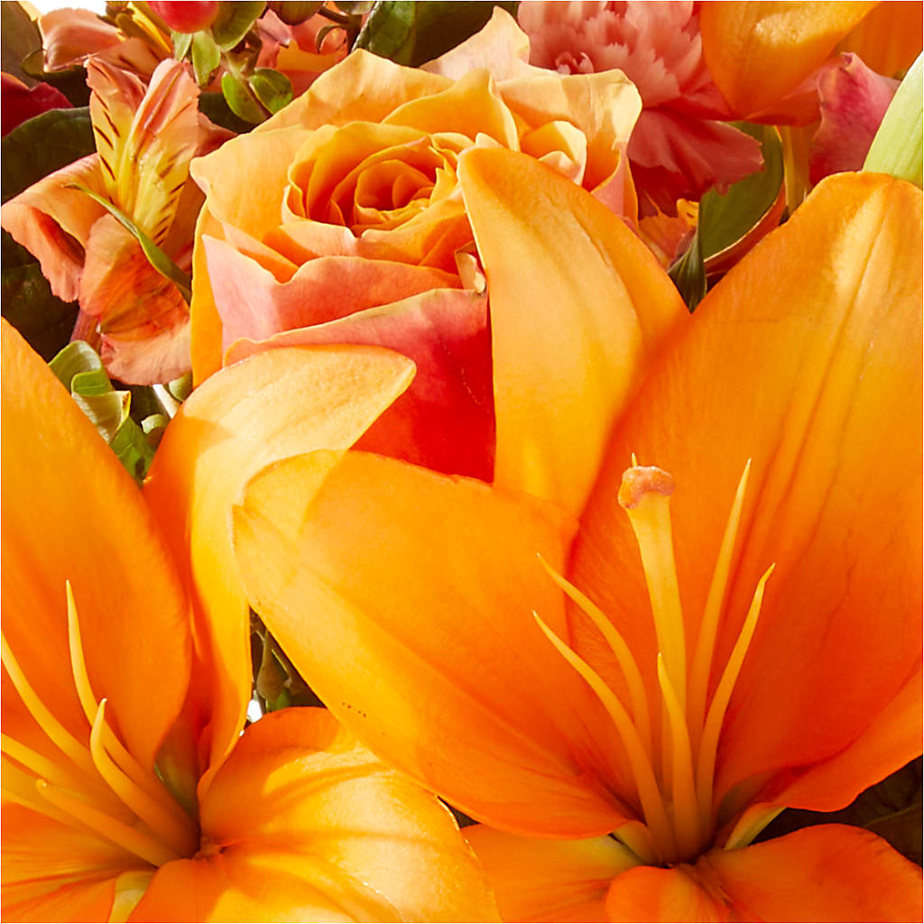 Afternoon Light Bouquet –  Distinctive Design Studio Llc, Ham Lake MN